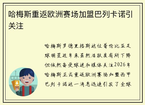 哈梅斯重返欧洲赛场加盟巴列卡诺引关注 哈梅斯重返欧洲赛场加盟巴列卡诺引关注
